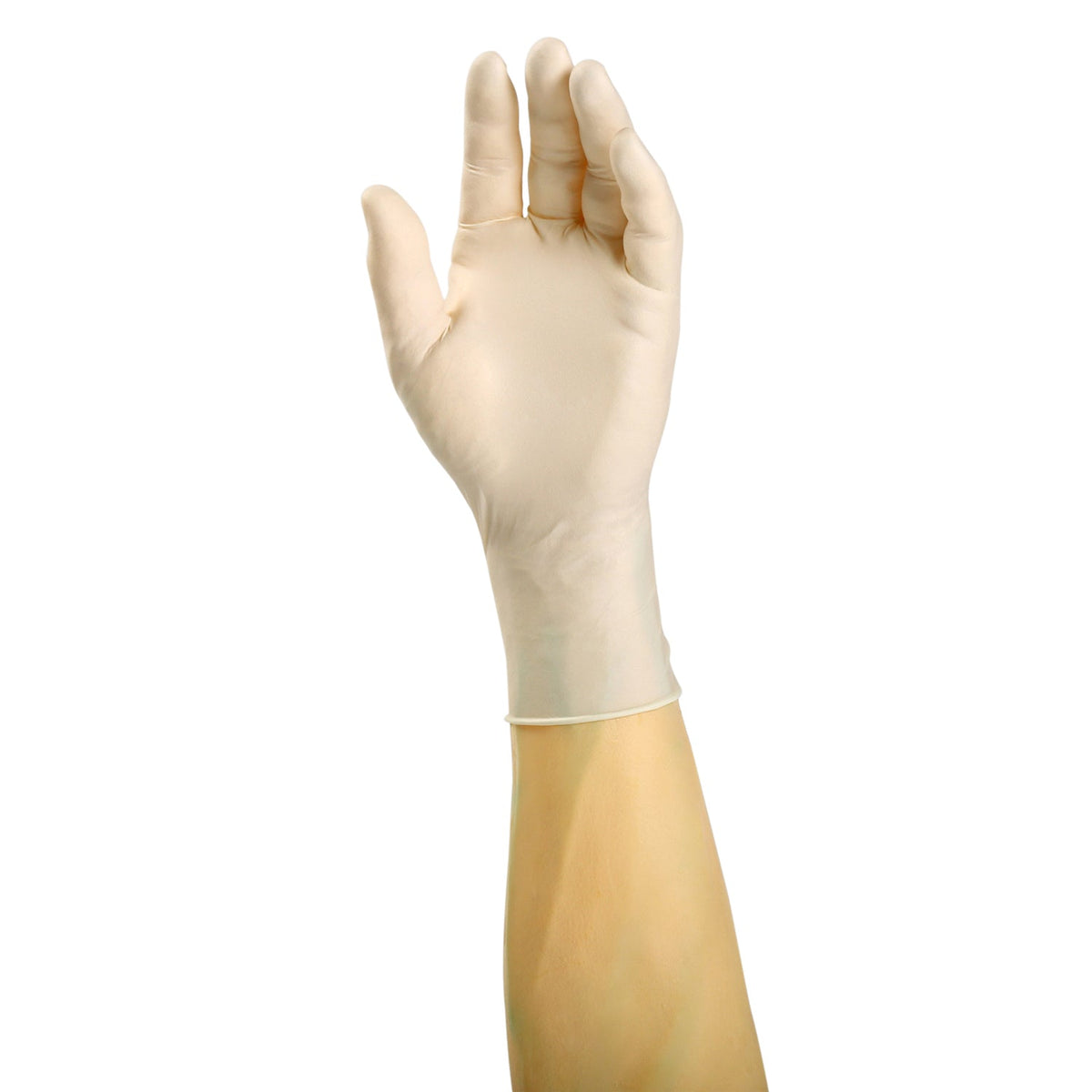 Ultra-Flex Powder Free Latex Exam Glove (#300) Samples