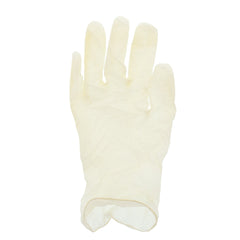 Gladiator Stretch Powder Free Vinyl Gloves, Case of 1,000